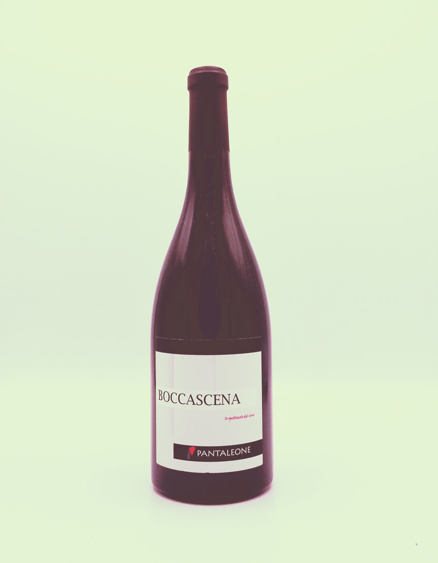 BOTTIGLIA 81 - "Boccascena" 2015 riserva - Marche Rosso I.G.T. da uve montepulciano 100%