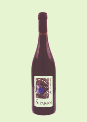 BOTTIGLIA 80 - "Sipario" 2017 - Marche Rosso I.G.T. da uve montepulciano 100%